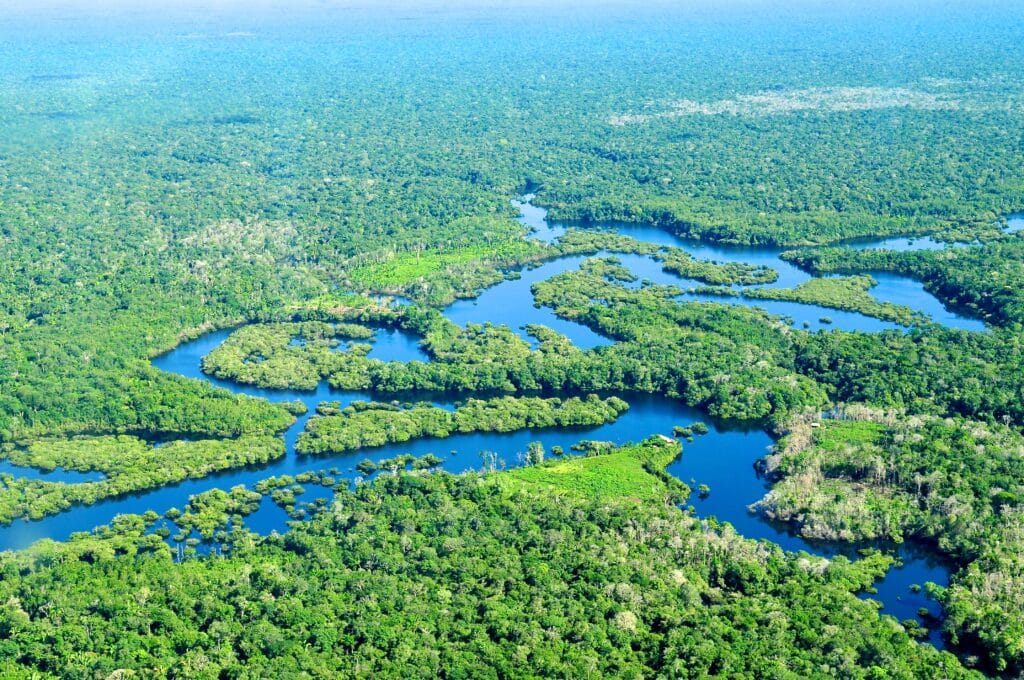 Explore the Amazon Rainforest
