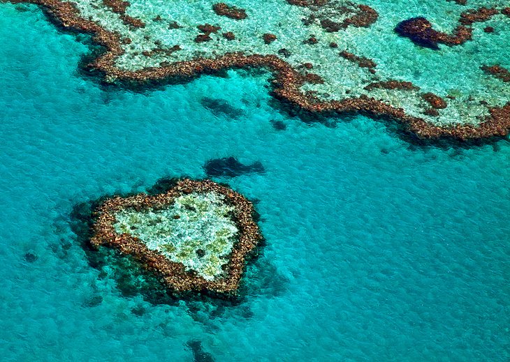 A view of the Heart reef in Great barrier reef in Australia