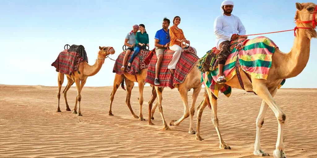 people are having a camel ride in the dubai desert