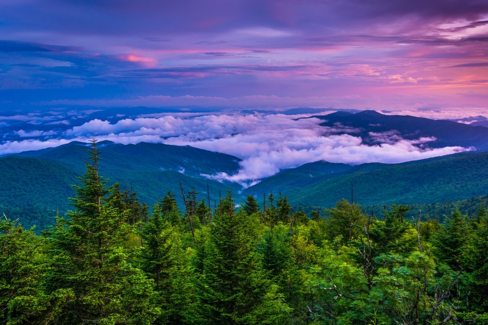 Low Clouds In The Valley At Sunset Seen From Clingmans