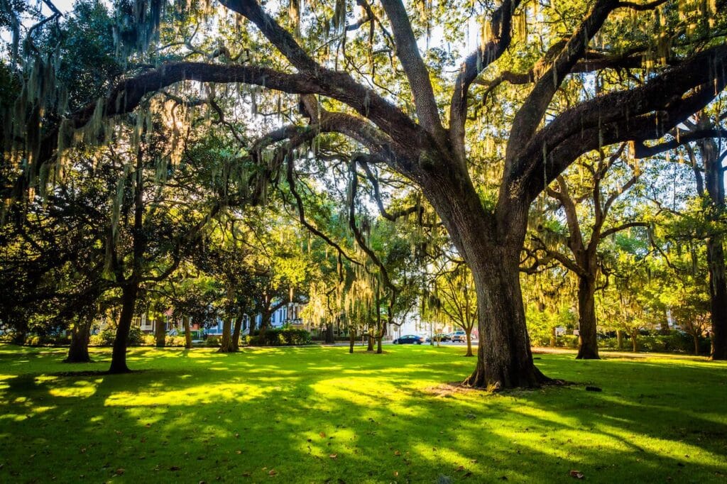 a park in savannah georgia